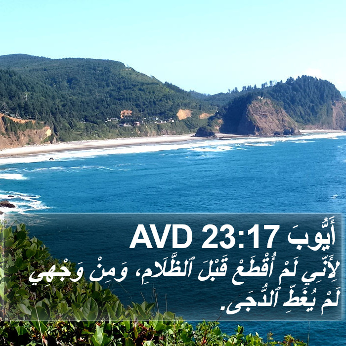 أَيُّوبَ 23:17 AVD Bible Study