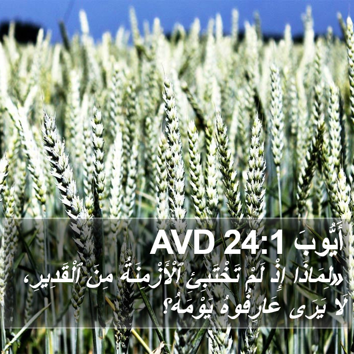 أَيُّوبَ 24:1 AVD Bible Study