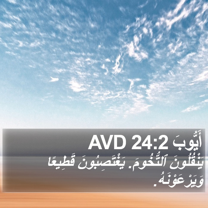 أَيُّوبَ 24:2 AVD Bible Study