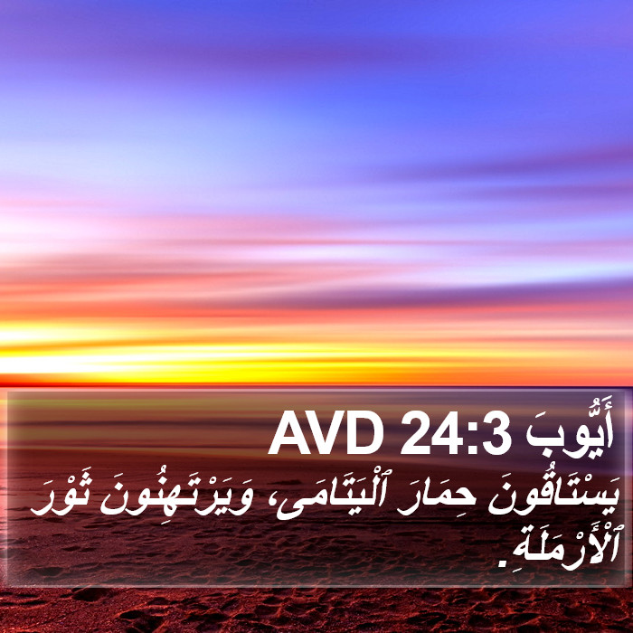 أَيُّوبَ 24:3 AVD Bible Study