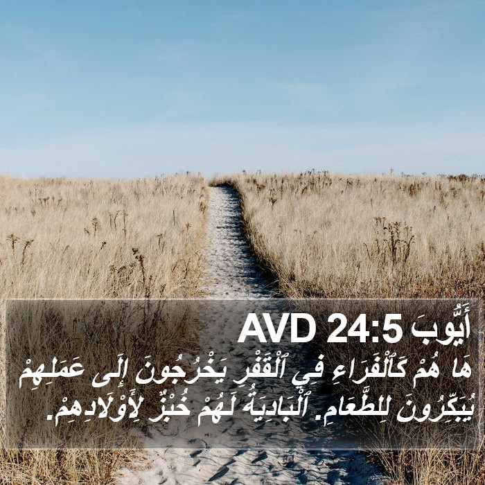 أَيُّوبَ 24:5 AVD Bible Study