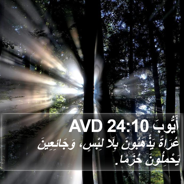 أَيُّوبَ 24:10 AVD Bible Study