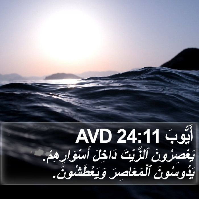 أَيُّوبَ 24:11 AVD Bible Study