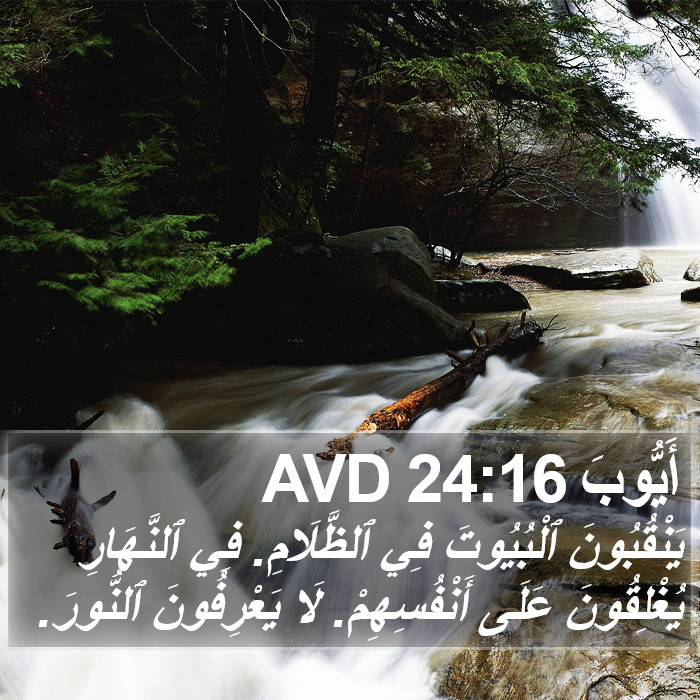 أَيُّوبَ 24:16 AVD Bible Study