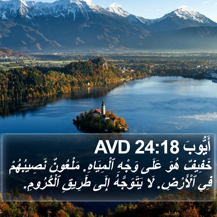 أَيُّوبَ 24:18 AVD Bible Study