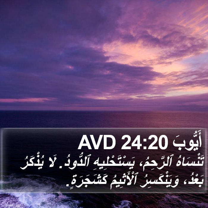 أَيُّوبَ 24:20 AVD Bible Study