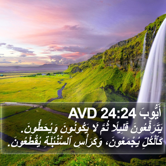 أَيُّوبَ 24:24 AVD Bible Study