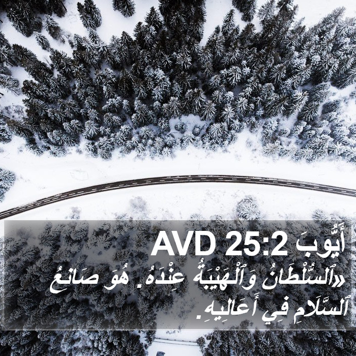 أَيُّوبَ 25:2 AVD Bible Study