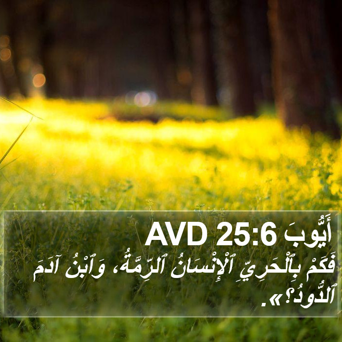 أَيُّوبَ 25:6 AVD Bible Study