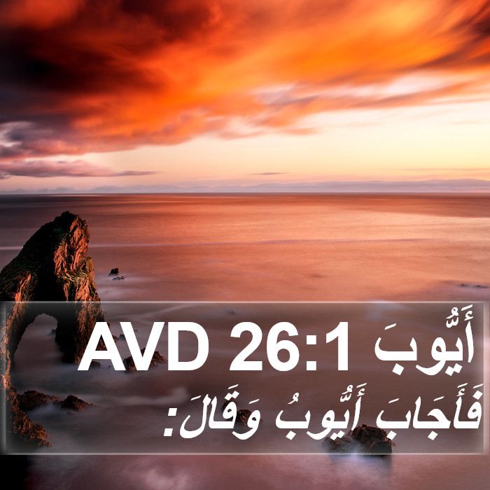 أَيُّوبَ 26:1 AVD Bible Study