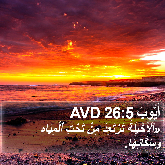 أَيُّوبَ 26:5 AVD Bible Study