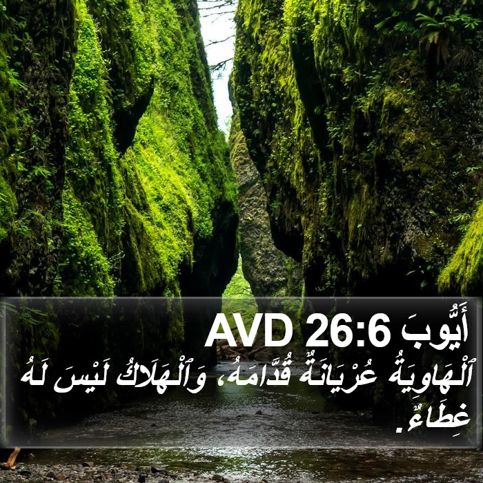 أَيُّوبَ 26:6 AVD Bible Study