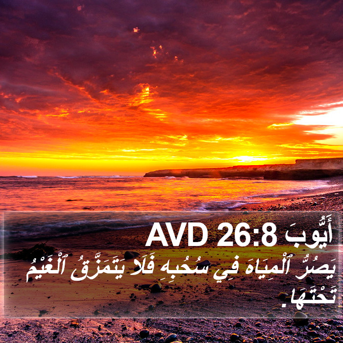 أَيُّوبَ 26:8 AVD Bible Study