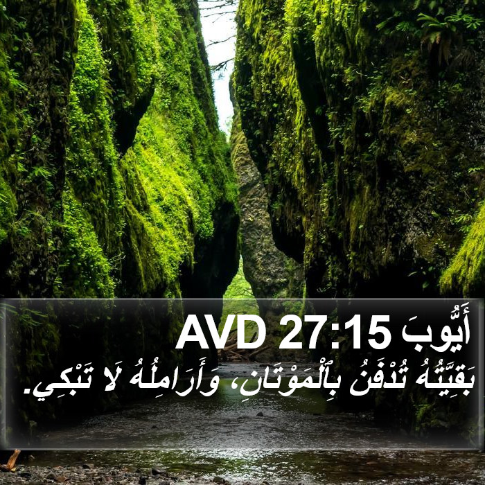 أَيُّوبَ 27:15 AVD Bible Study