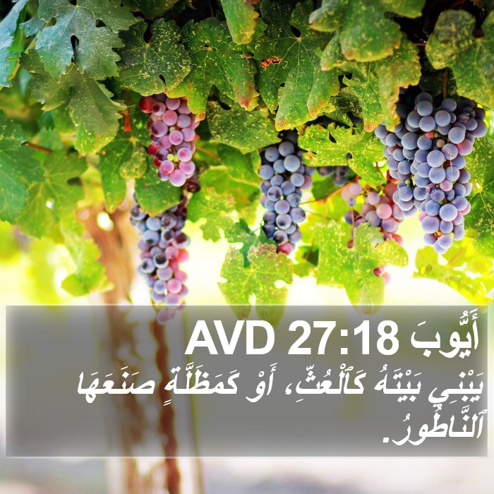 أَيُّوبَ 27:18 AVD Bible Study