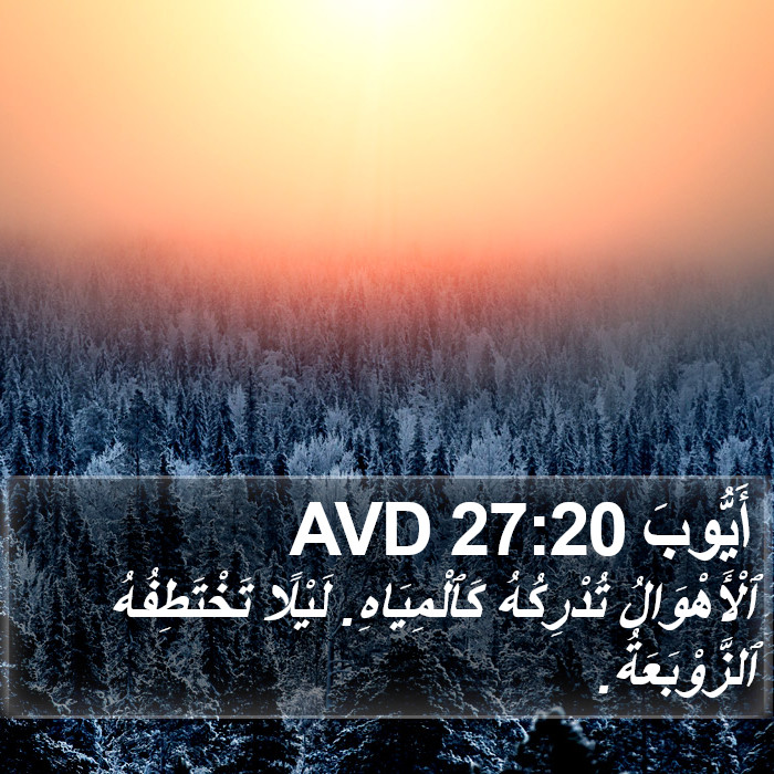 أَيُّوبَ 27:20 AVD Bible Study