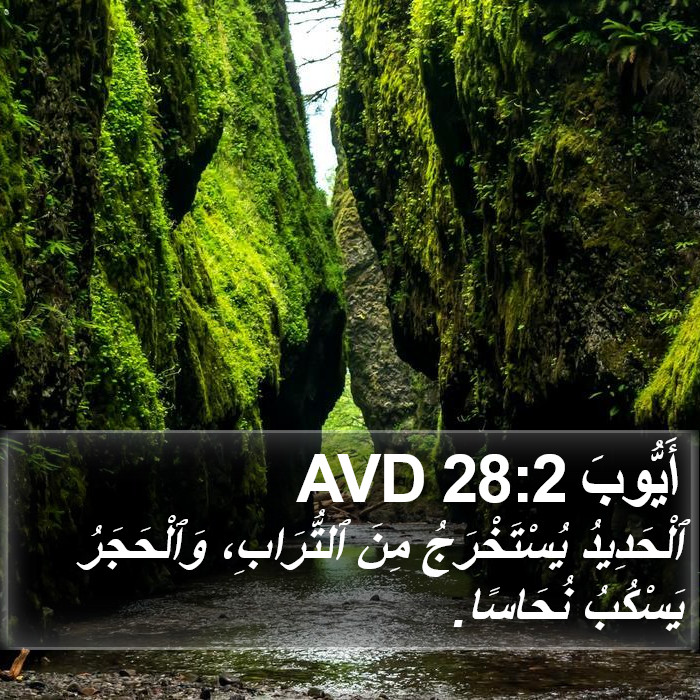 أَيُّوبَ 28:2 AVD Bible Study