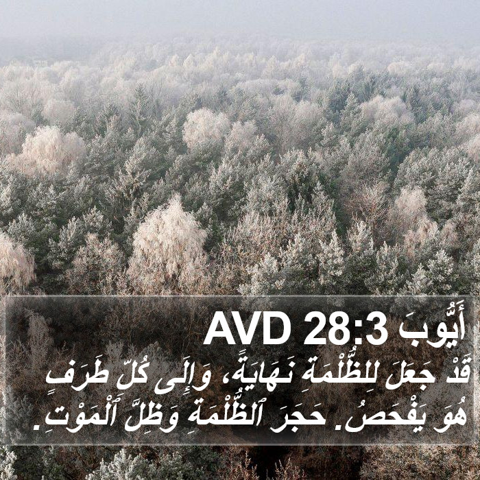 أَيُّوبَ 28:3 AVD Bible Study