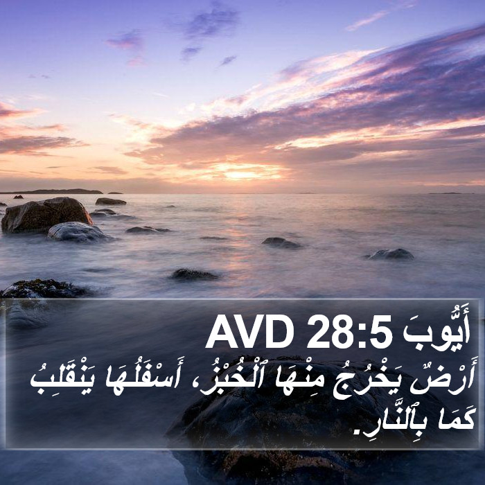 أَيُّوبَ 28:5 AVD Bible Study