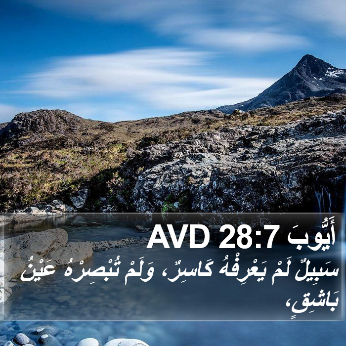 أَيُّوبَ 28:7 AVD Bible Study