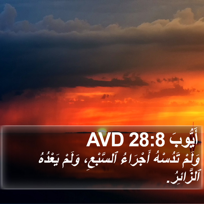 أَيُّوبَ 28:8 AVD Bible Study