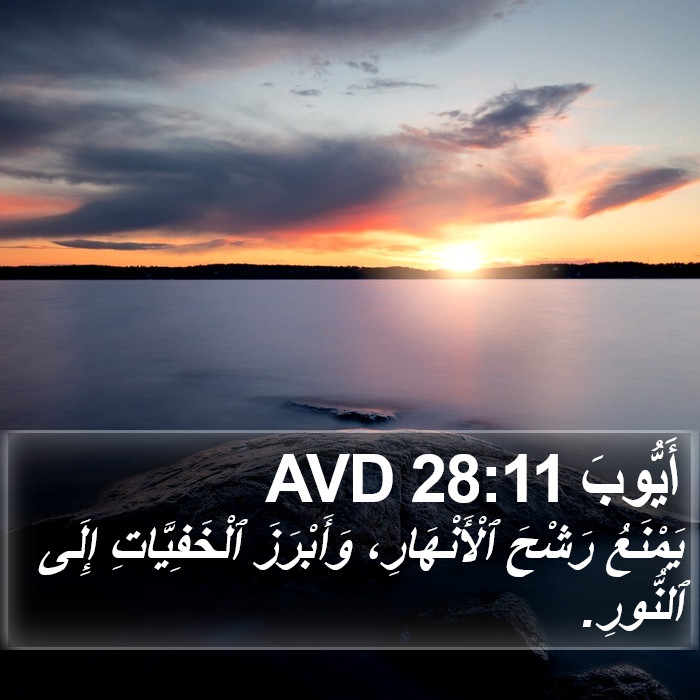 أَيُّوبَ 28:11 AVD Bible Study