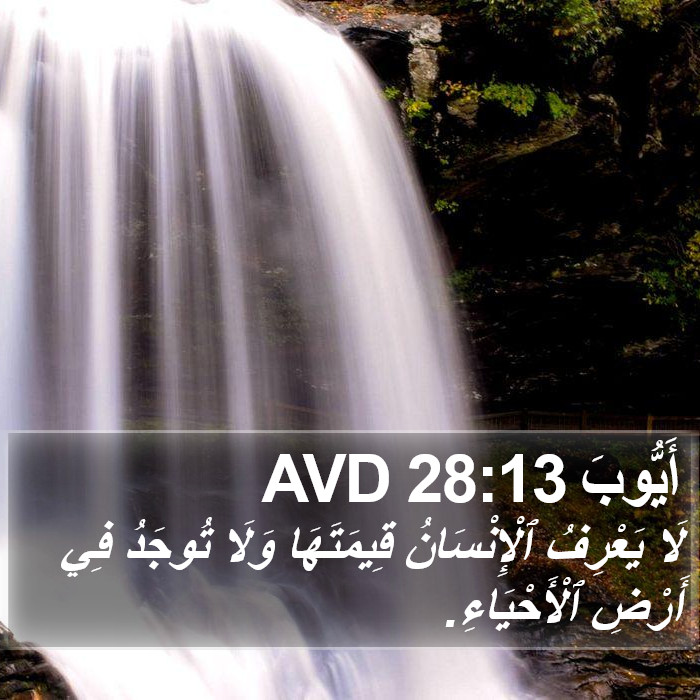 أَيُّوبَ 28:13 AVD Bible Study
