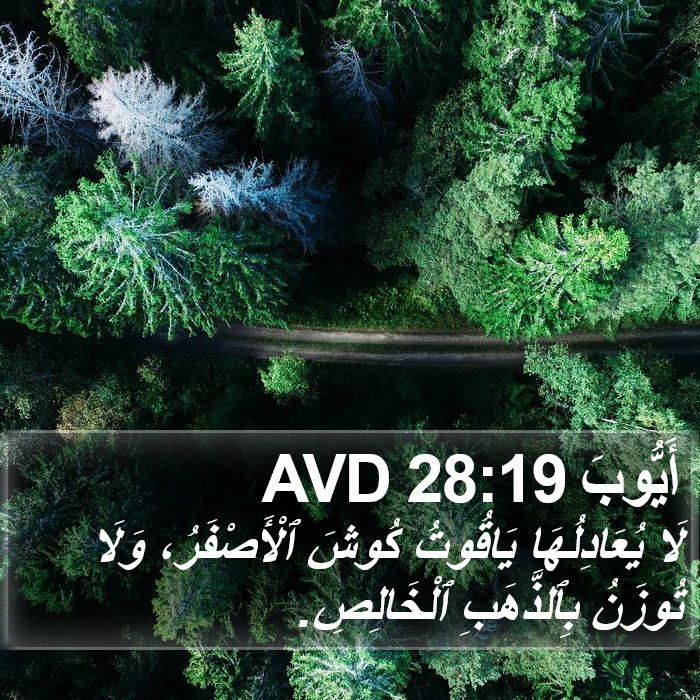 أَيُّوبَ 28:19 AVD Bible Study
