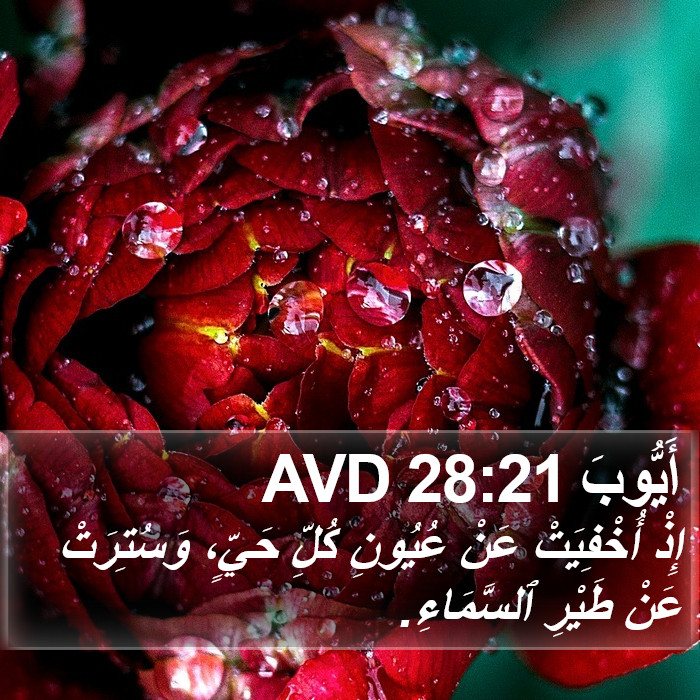 أَيُّوبَ 28:21 AVD Bible Study