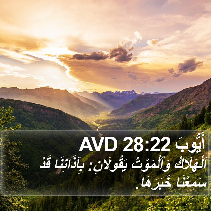 أَيُّوبَ 28:22 AVD Bible Study