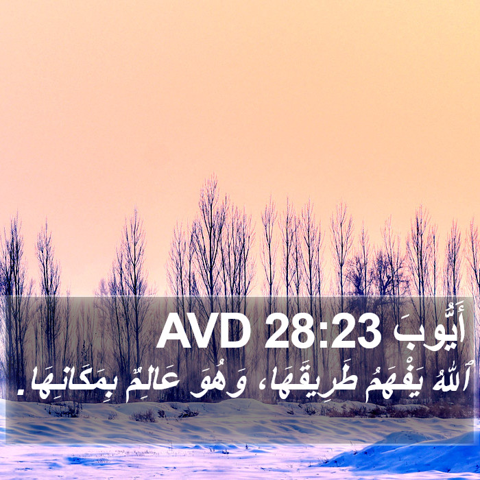 أَيُّوبَ 28:23 AVD Bible Study