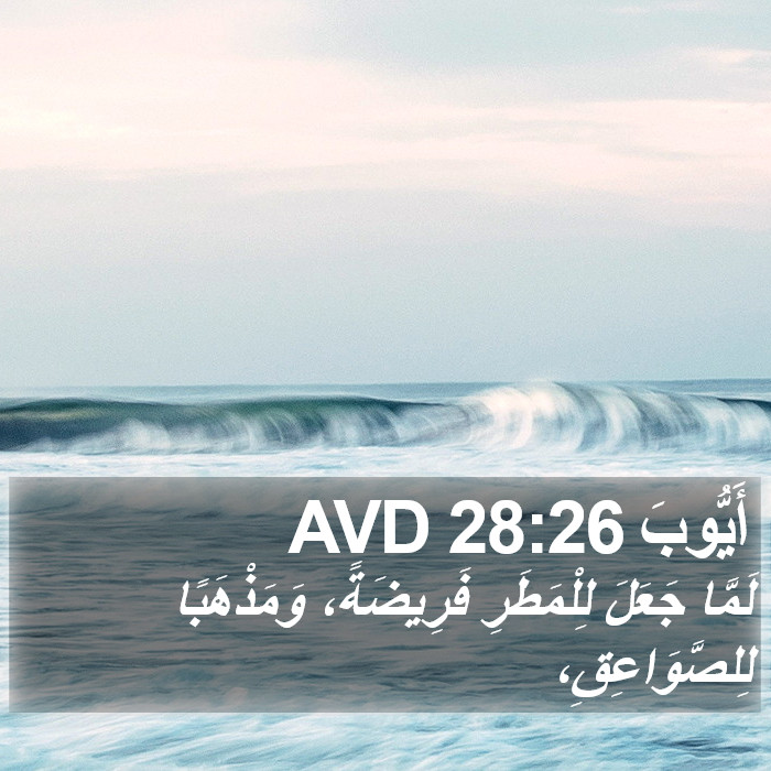 أَيُّوبَ 28:26 AVD Bible Study