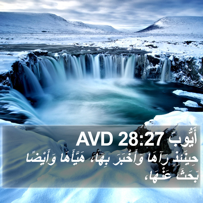 أَيُّوبَ 28:27 AVD Bible Study
