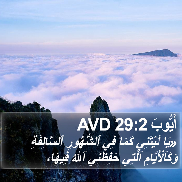 أَيُّوبَ 29:2 AVD Bible Study