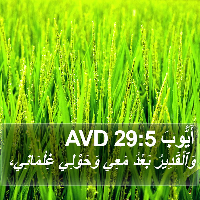 أَيُّوبَ 29:5 AVD Bible Study