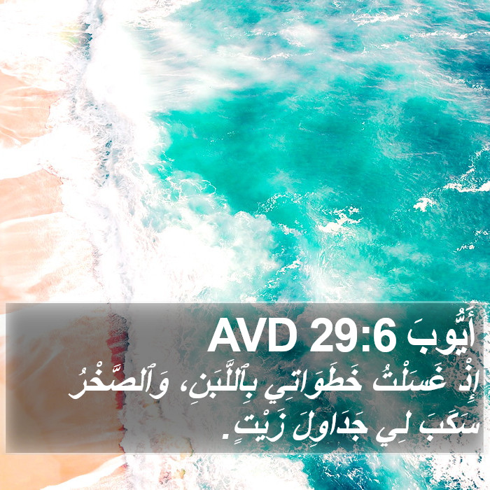 أَيُّوبَ 29:6 AVD Bible Study