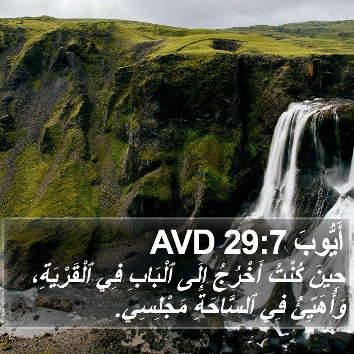 أَيُّوبَ 29:7 AVD Bible Study