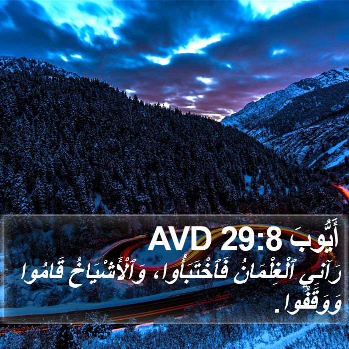 أَيُّوبَ 29:8 AVD Bible Study