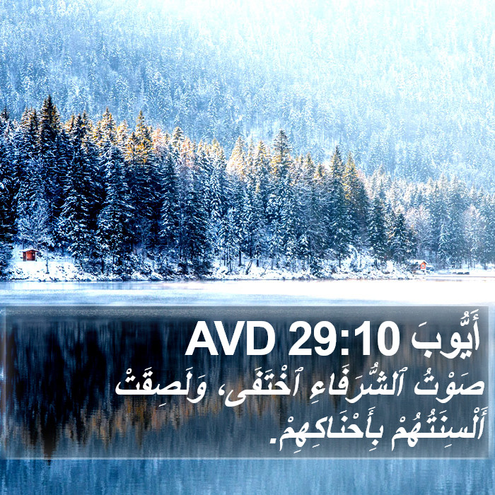 أَيُّوبَ 29:10 AVD Bible Study