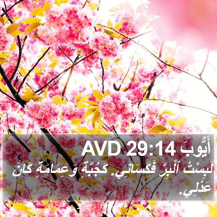 أَيُّوبَ 29:14 AVD Bible Study
