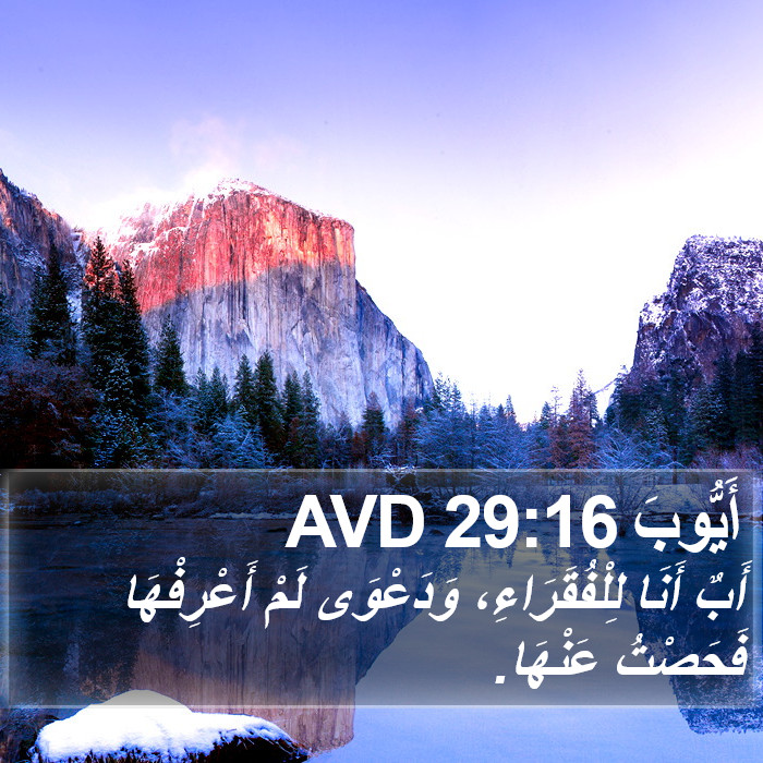 أَيُّوبَ 29:16 AVD Bible Study