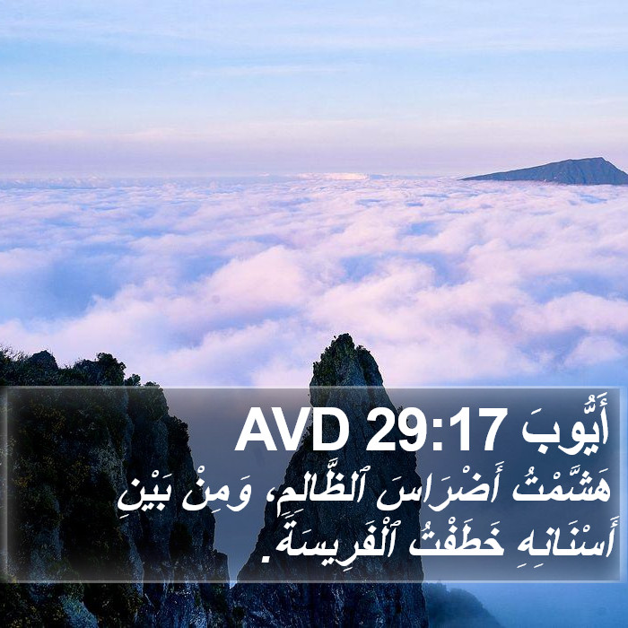 أَيُّوبَ 29:17 AVD Bible Study