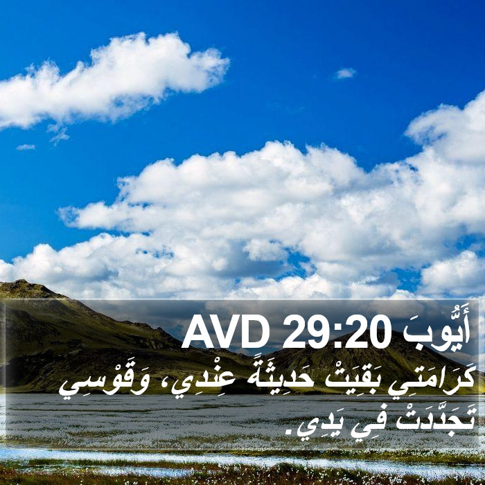 أَيُّوبَ 29:20 AVD Bible Study