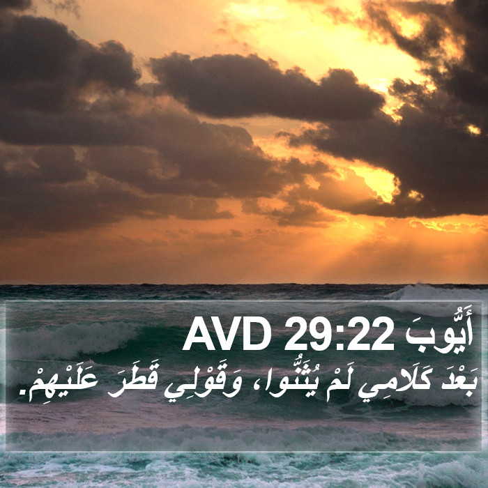 أَيُّوبَ 29:22 AVD Bible Study