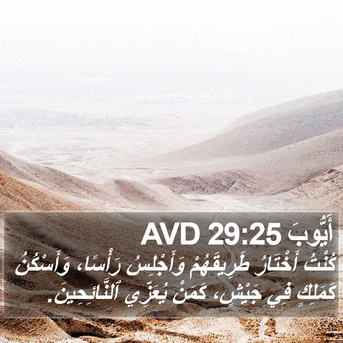 أَيُّوبَ 29:25 AVD Bible Study