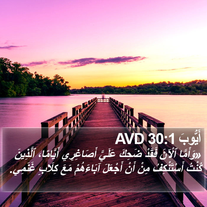 أَيُّوبَ 30:1 AVD Bible Study