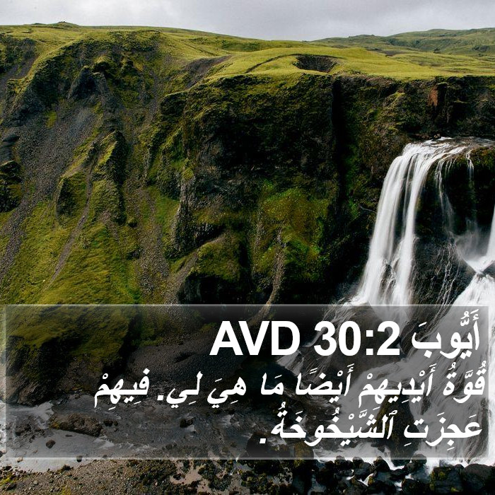 أَيُّوبَ 30:2 AVD Bible Study