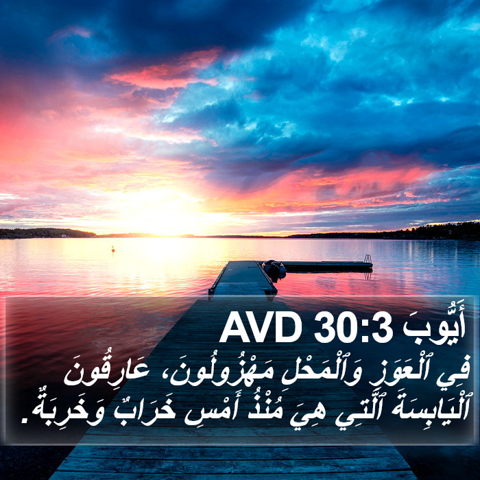 أَيُّوبَ 30:3 AVD Bible Study