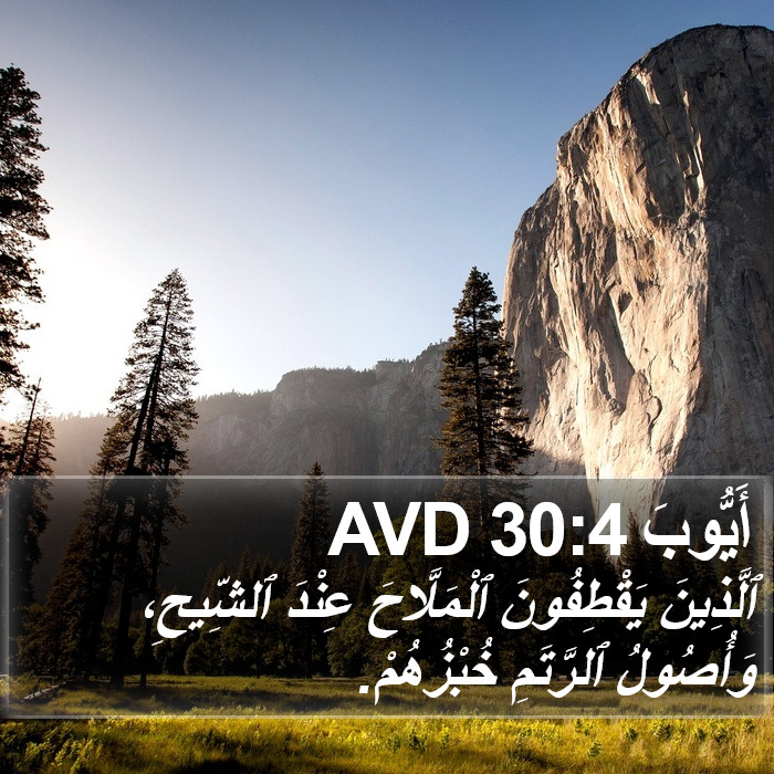 أَيُّوبَ 30:4 AVD Bible Study