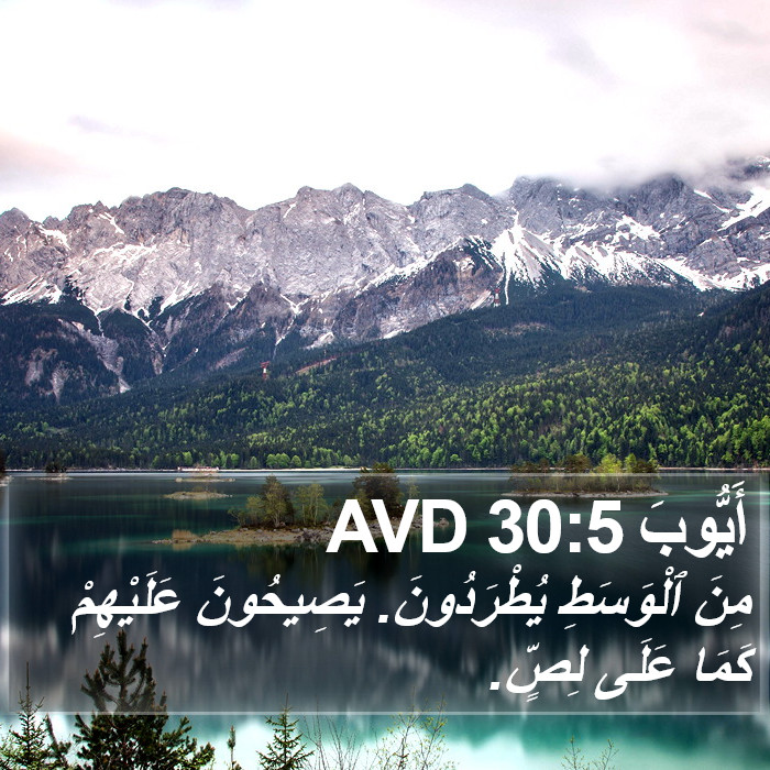 أَيُّوبَ 30:5 AVD Bible Study